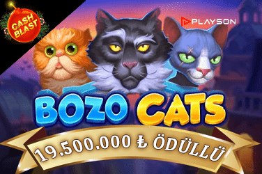 Bozo Cats