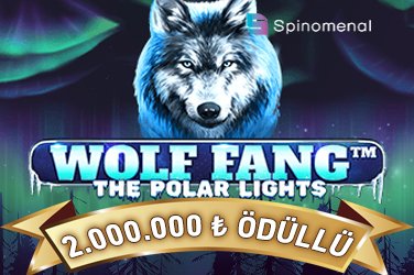 Wolf Fang - The Polar Lights